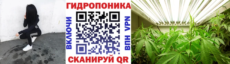 Каннабис Чёрмоз