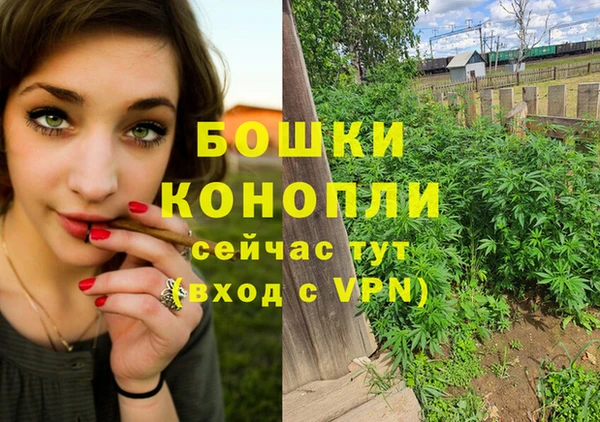 дурь Заводоуковск