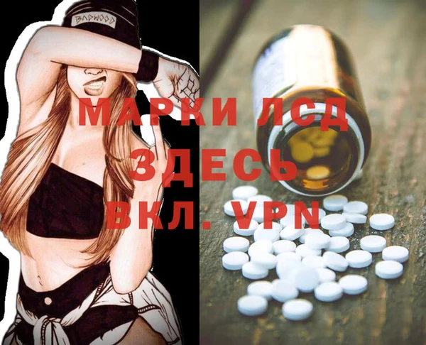 ГАЛЛЮЦИНОГЕННЫЕ ГРИБЫ Заволжск