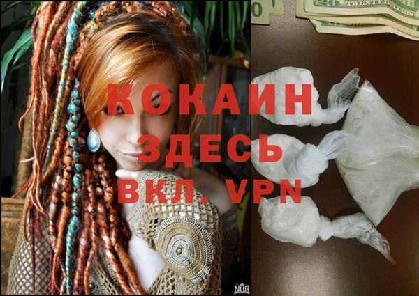 дурь Заводоуковск