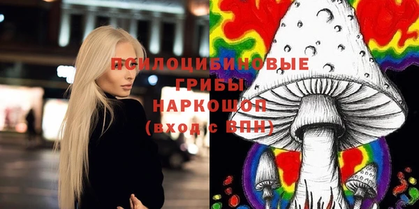 дурь Заводоуковск