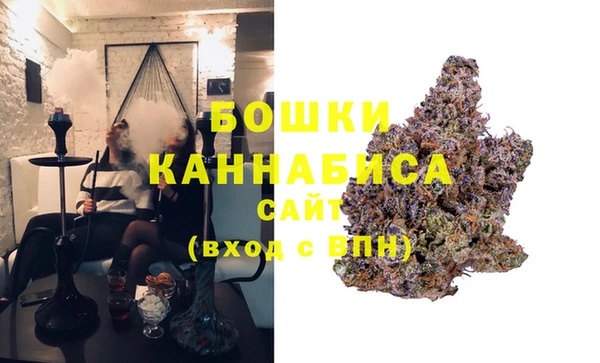 дурь Заводоуковск