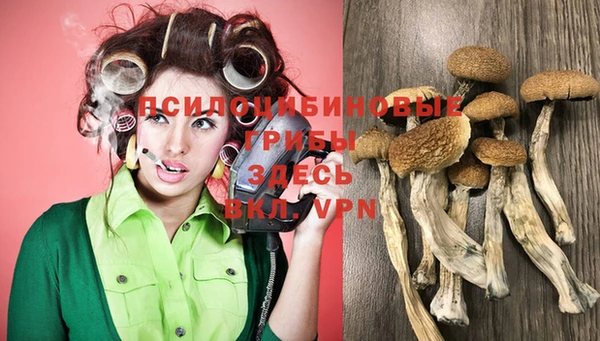 ГАЛЛЮЦИНОГЕННЫЕ ГРИБЫ Заволжск